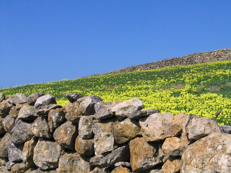 Muro De Pedra Seca Feito De Pedras Naturais Na Ilha De Creta Na