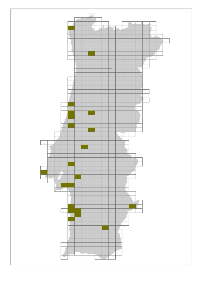 Distribuição de topónimos relacionados com “camarinha” nas cartas 1:25.000. Carta obtida através da consulta do Reportório Toponímico de Portugal do Serviço Cartográfico do Exército (1967)