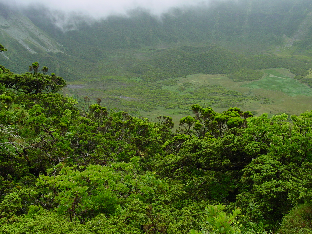 Mãe d’água integra o consórcio “Support for the Natura 2000 Biogeographical Process”